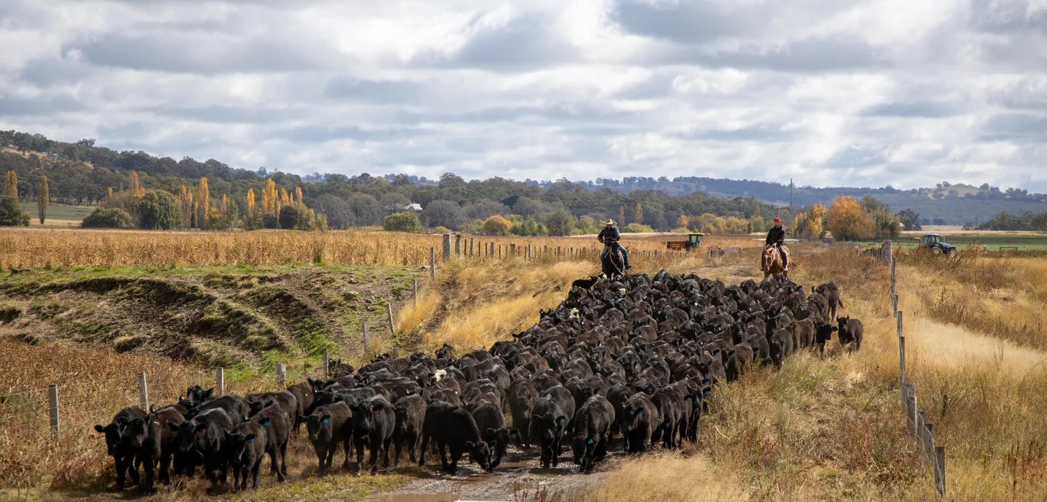On location in the Australian countryside with Taste of Australia